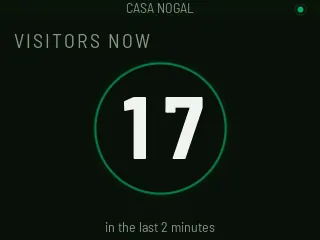 VISITORS NOW 17, inside a green ring that pulses, with “in the last 2 minutes” underneath.